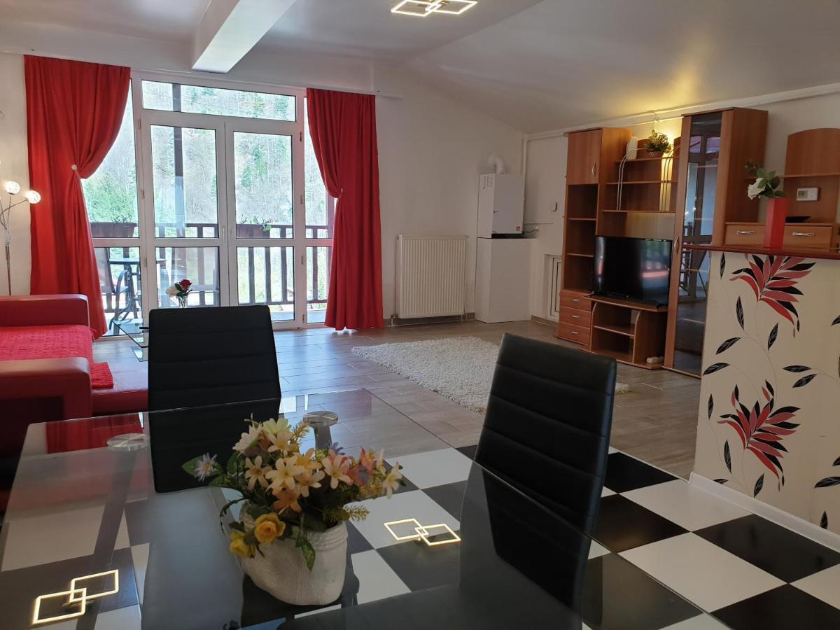 Alex Apartament Sinaia