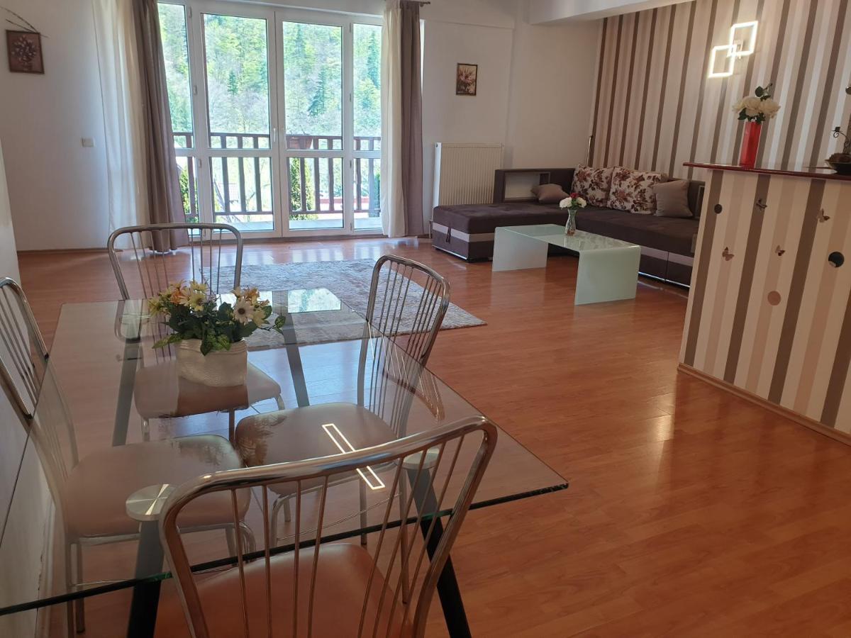 Alex Apartament