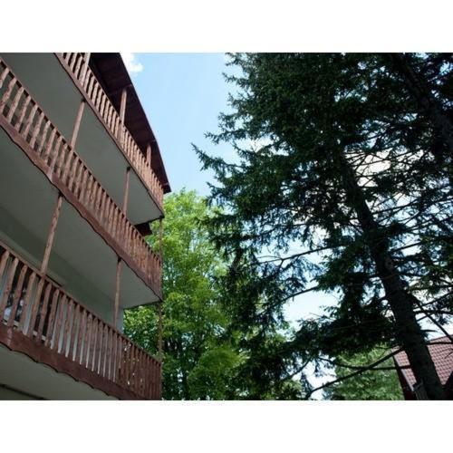 Apartament Alex